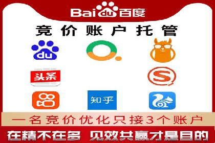 网络推广与竞价广告：双管齐下的策略案例